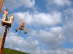 selbst die Kids haben Spass beim helfen