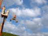 Steffen macht den 1. Testlauf vom Flying Fox